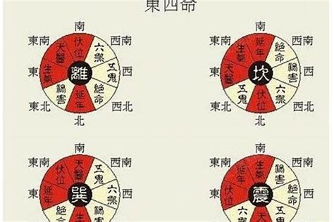 东四命|震宫东四命是什么